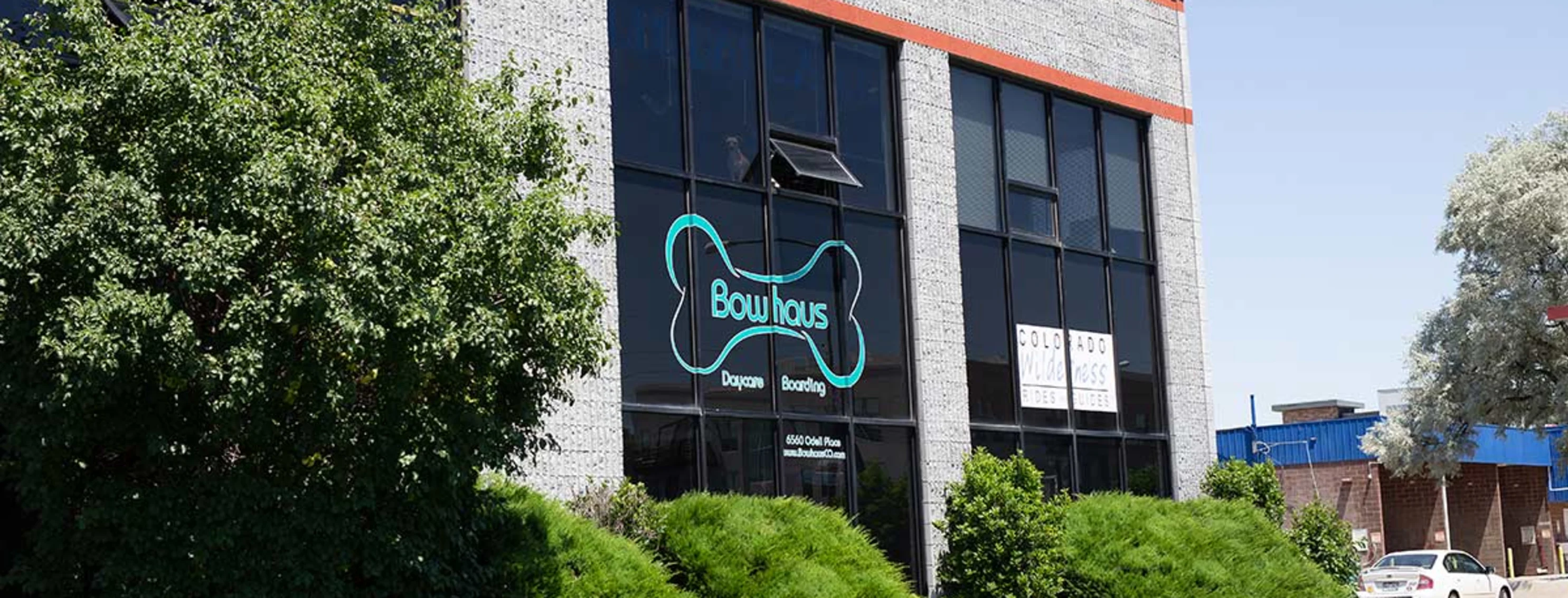 Bowhaus Boulder facility, expert dog daycare, boarding, and grooming services in Boulder, Colorado.